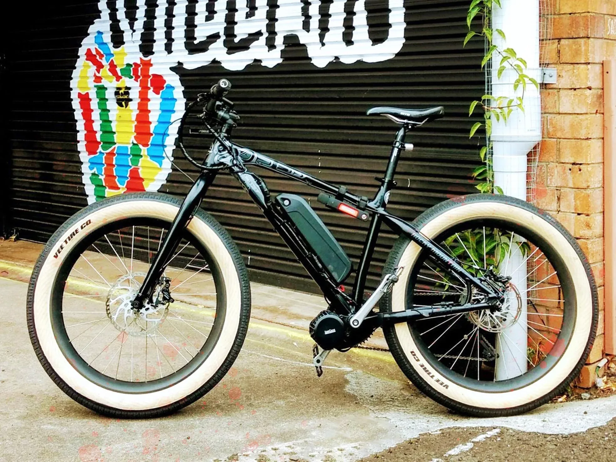 Image of the first electric fat bike project