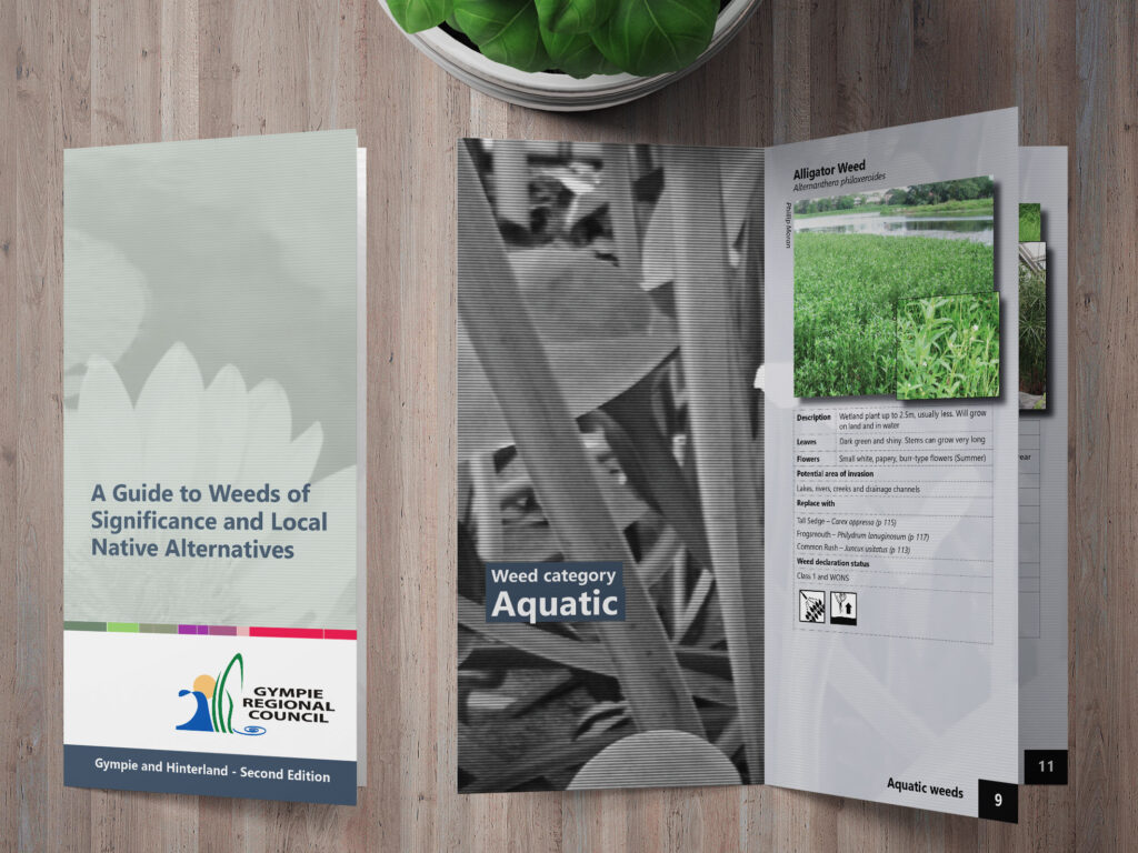 Mock up of the gympie regional council reference guides to weeds and native alternatives.